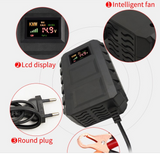 LiitoKala 58.4V 29.2V 14.6V 2A 3A 10A LiFePO4 battery Charger 48V 24V 12V 16S 8S 4S