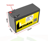 LiitoKala 12.8V 7Ah 12Ah LiFePO4 Lithium Iron Phosphate Rechargeable Battery Light, Kids Car F2